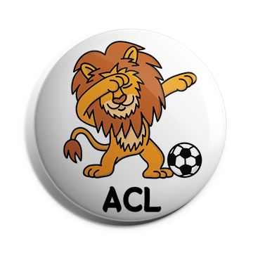 Lion Brooch