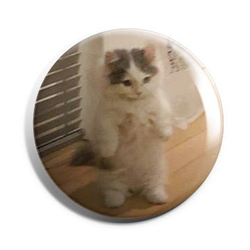 Cat Brooch