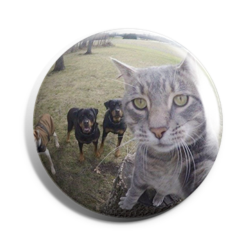Cat Brooch