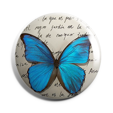 Butterfly Brooch