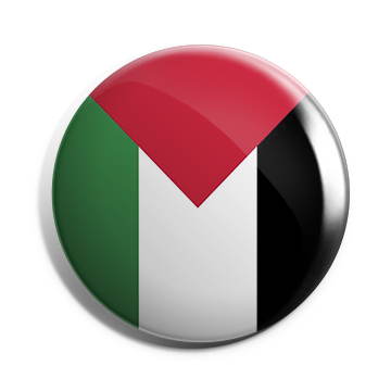 بروش علم فلسطين