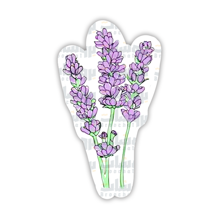 ستيكر لافندر