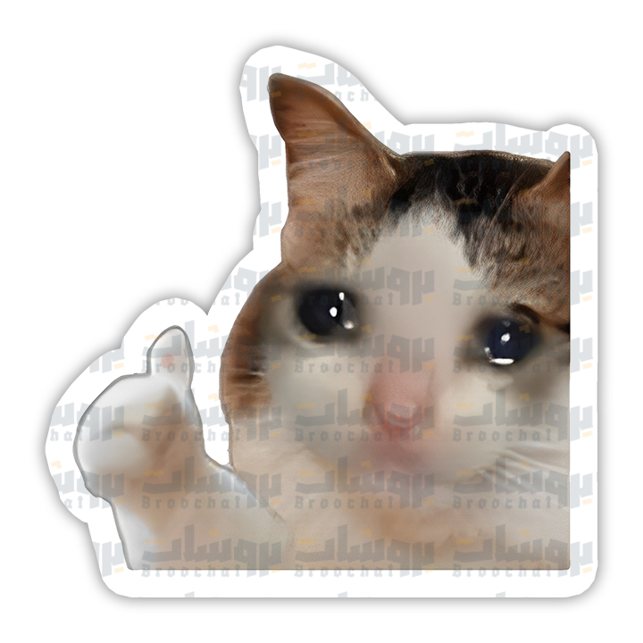 Thumbs Up Crying Cat Sticker