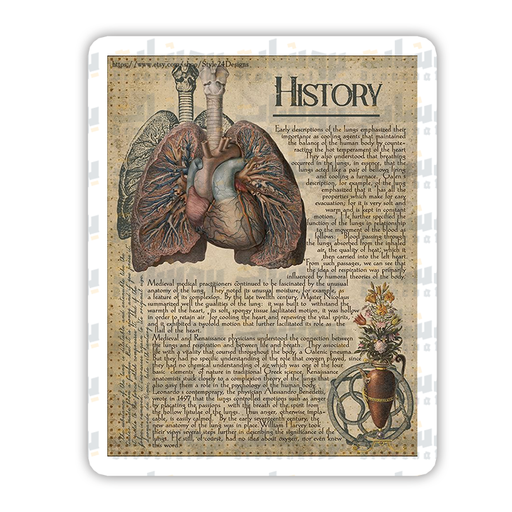 Vintage Human Medical Anatomy Sticker