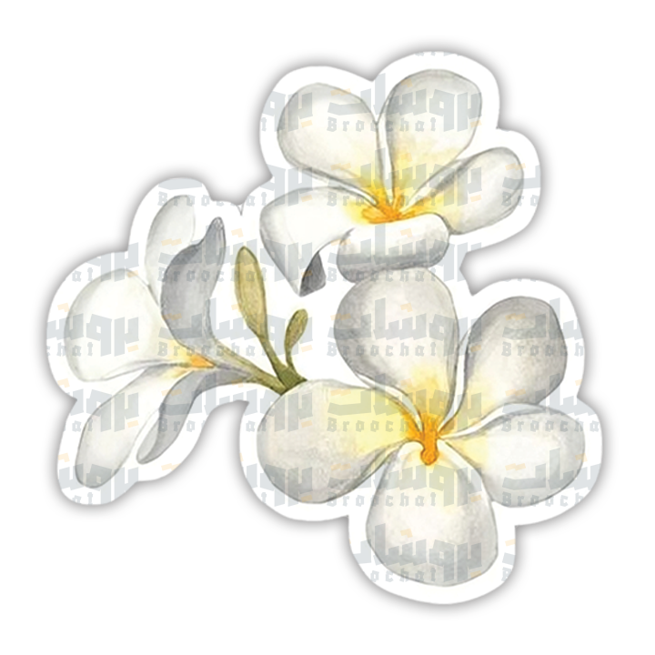 ستيكر وردة الياسمين