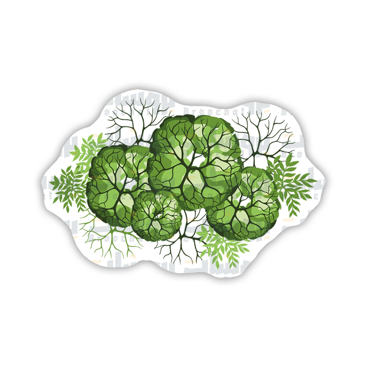 Trees sketch Sticker