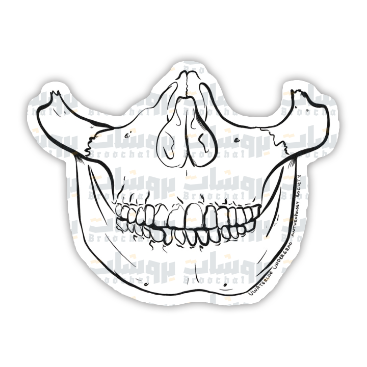 jaw skeleton Sticker