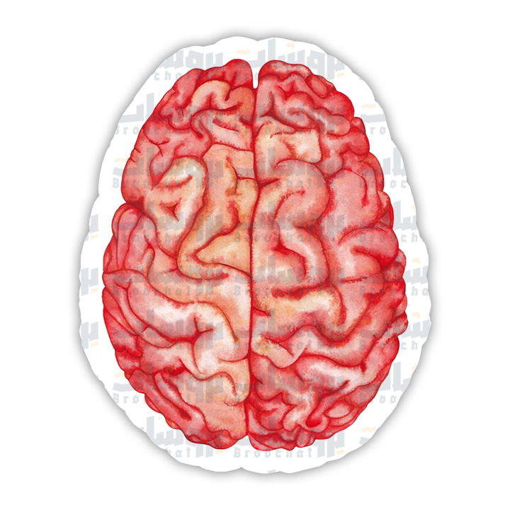 Brain Sticker