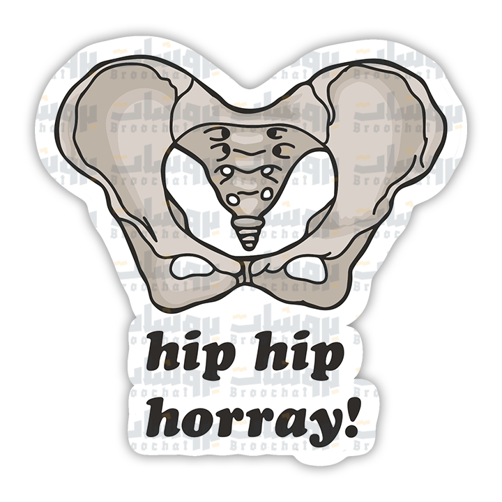 hip hip horray! Sticker