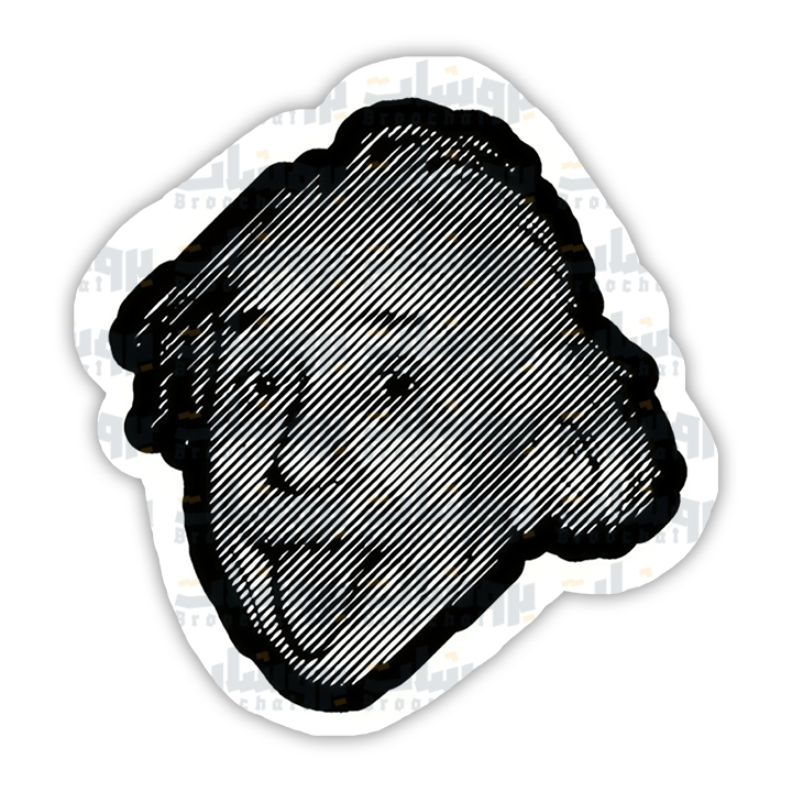 Einstein Sticker
