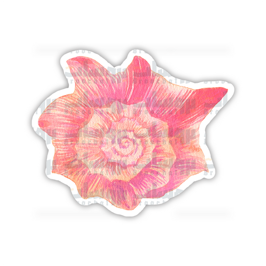 Pink Seashell Sticker