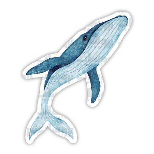 Whale Sticker