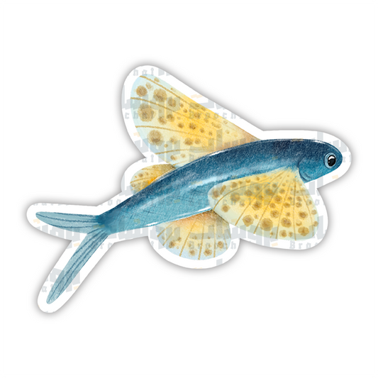 Cypselurus Sticker