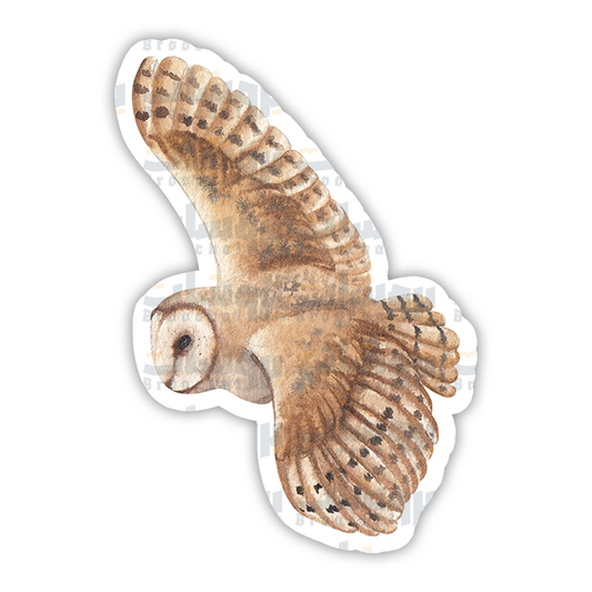 Barn owl Sticker