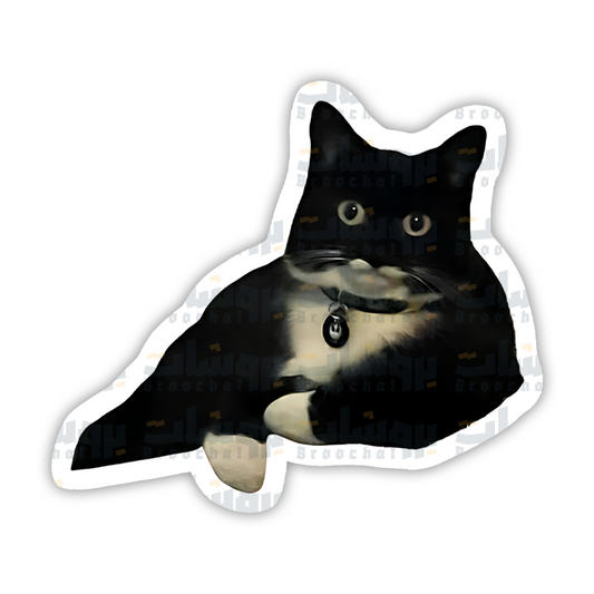 Black Cat Sticker