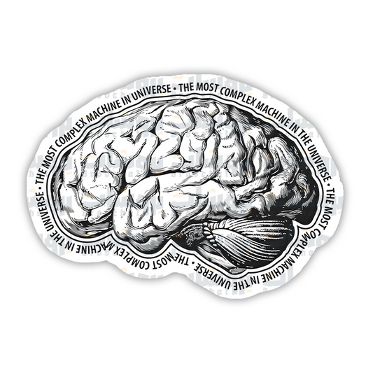 The Most Complex Machine in the Universe Sticker