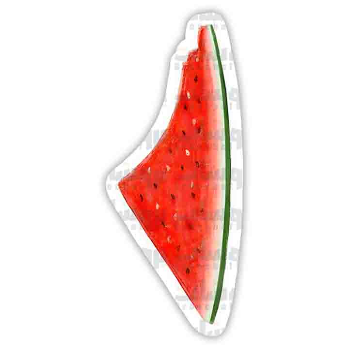 ستيكر خريطة فلسطين (بطيخة)