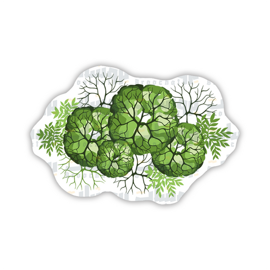 Trees sketch Sticker