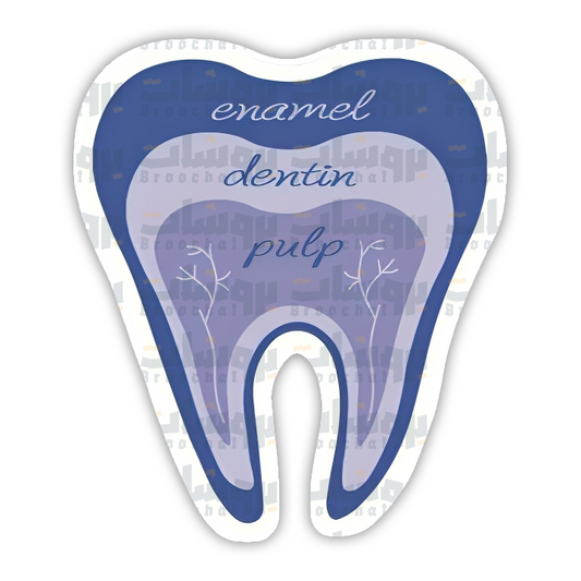 Tooth Anatomy Sticker