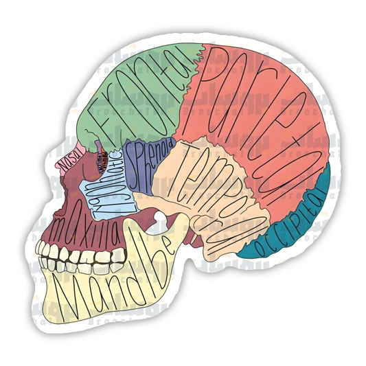 bones anatomy Sticker